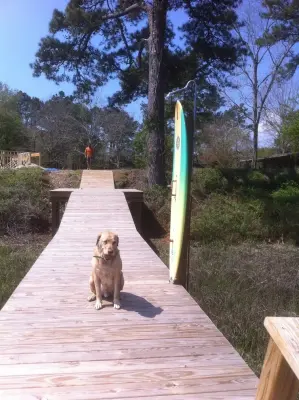 Konrady & Son Construction, LLC - Landscape Design in Wilmington, NC