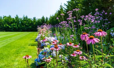 Michelle Madonna Design - Outdoor Lighting Installation in Westbury, NY