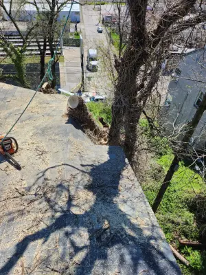 CombatVet Construction LLC - Landscape Design in Clendenin, WV