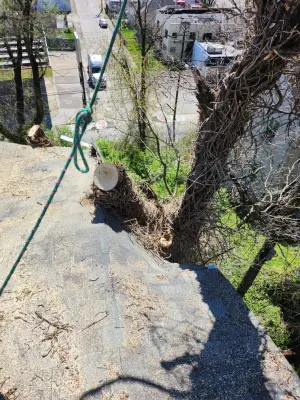 CombatVet Construction LLC - Landscape Design in Clendenin, WV