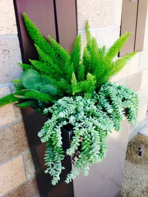 MJMD Studio - Irrigation System Repair in Los Gatos, CA