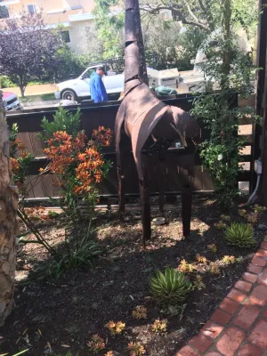 MLM LANDSCAPE DESIGN, L.L.C. Merri Lee Marks - Landscape Design in Los Angeles, CA