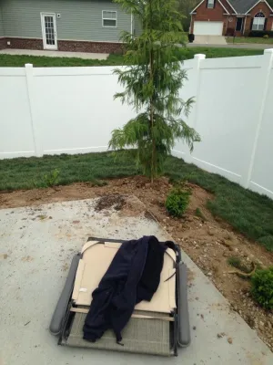 All Summer Landscaping - Landscape Maintenance in Murfreesboro, TN