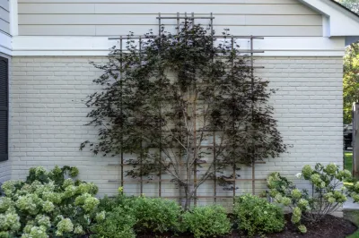Apex Landscaping, Inc. - Landscape Construction in Hawthorn Woods, IL