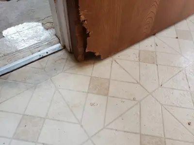 Replace Interior Doorway — Home Renovation & Remodeling Services project by Western Platinum Services LLC