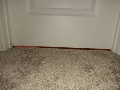 Home carpet installation with 5 1/4" baseboards and transition strips — Home Renovation & Remodeling Services project by Granted Properties And Construction LLC