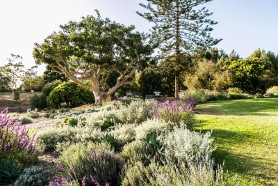 Nature Enthusiast — Landscape Design project by Molly Wood Garden Design in Newport Beach