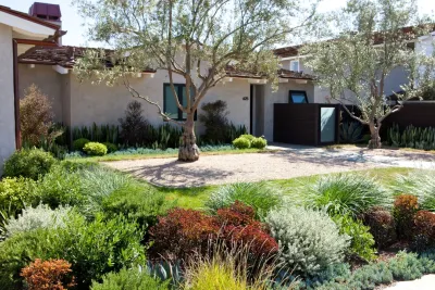 Masculine Modern — Landscape Design project by Molly Wood Garden Design