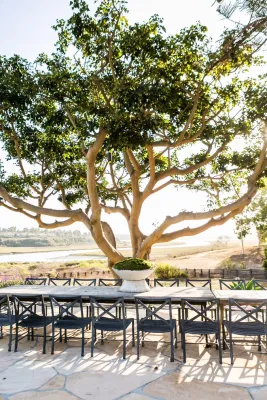 Molly Wood Garden Design - Patio Design & Installation in Costa Mesa, CA