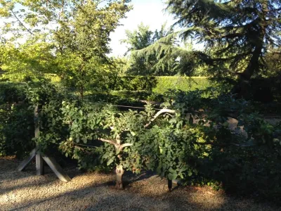 Monica Perrone Landscape Architecture - Garden Remodeling in Livermore, CA