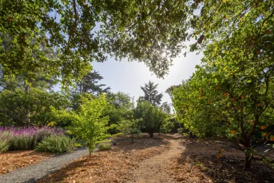 Montecito Landscape - Outdoor Lighting Installation in Montecito, CA