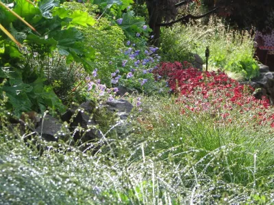 Montgomery Robbins, Inc. - Landscape Construction in Alamo, CA
