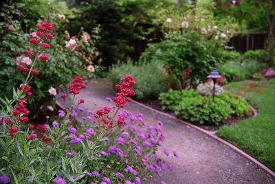 Montgomery Robbins, Inc. - Landscape Construction in Alamo, CA