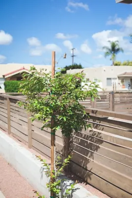 Modern Minimalist San Diego Landscape — Landscape Design project by Mooch Exterior Designs, Inc.