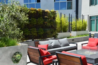 April Philips Design Works - Garden Remodeling in San Rafael, CA