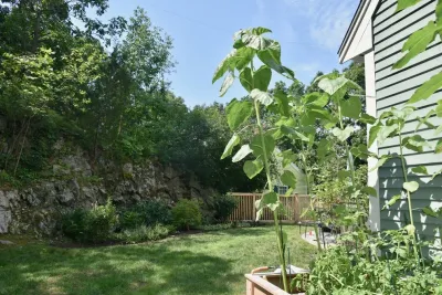 Moodscapes LLC - Garden Remodeling in Belmont, MA