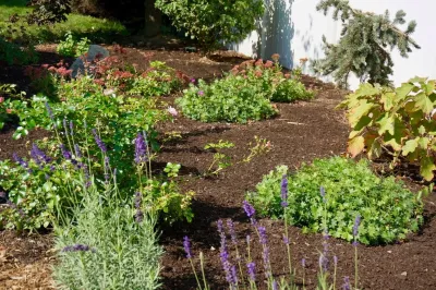 Moodscapes LLC - Garden Remodeling in Belmont, MA