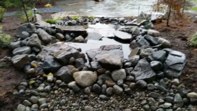 Creative Effects Contractor LLC - Tree Planting & Transplanting in Spanaway, WA