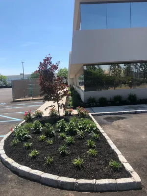 Commercial Project — Landscape Design project by More Than Gardens