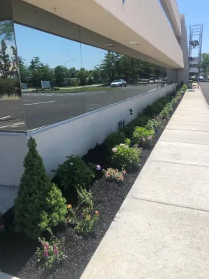 More Than Gardens - Garden Remodeling in Westbury, NY