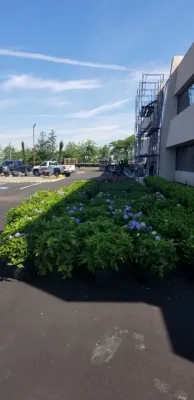 More Than Gardens - Garden Remodeling in Westbury, NY