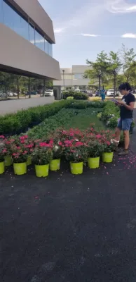 More Than Gardens - Garden Remodeling in Westbury, NY