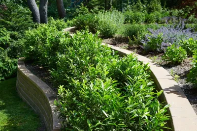 Sands Point Residence — Landscape Design project by Morell Landscape Associates