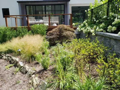 Oyster Bay Cove 1980's Contemporary New Pool & Entire Landscape Renovation — Landscape Design project by Morell Landscape Associates