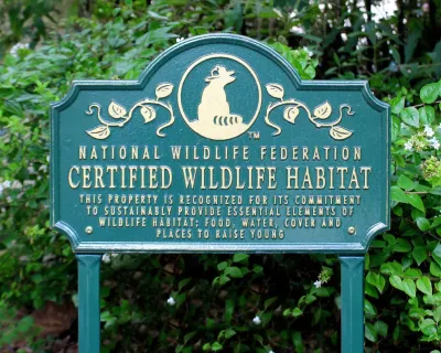 Wildlife Sanctuary Gardens - West University Place, Houston — Landscape Design project by Moss Landscaping in Houston