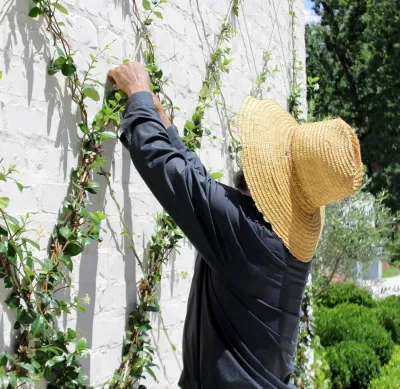 Moss Landscaping - Garden Remodeling in Houston, TX