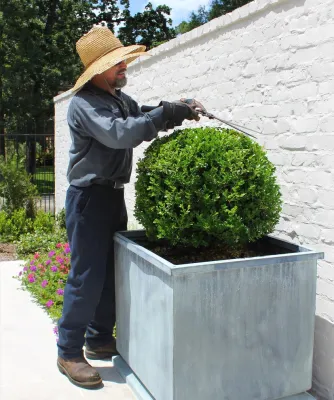 Piney Point Estate Gardens — Landscape Design project by Moss Landscaping in Houston