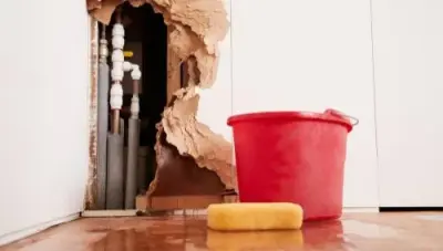 Expert Quincy Water Damage Repair - Home Renovation & Remodeling Services in Quincy, IL