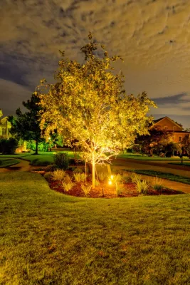 Red Drum — Landscape Design project by MP Landscape Design