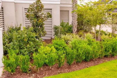 MP Landscape Design - Outdoor Lighting Installation in Mount Pleasant, SC