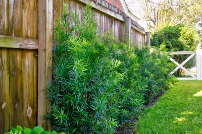 MP Landscape Design - Outdoor Lighting Installation in Mount Pleasant, SC