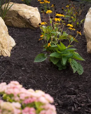 Xerxes — Landscape Design project by MT Carpenter Landscape Inc.