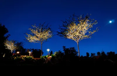 Arnold Palmer Night Lighting — Landscape Design project by MT Carpenter Landscape Inc.