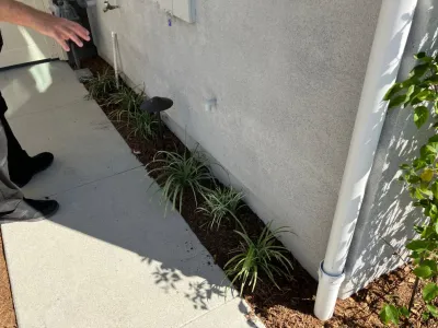 My Garden: Landscape Design by Wayne - Patio Design & Installation in Tustin Ranch, CA
