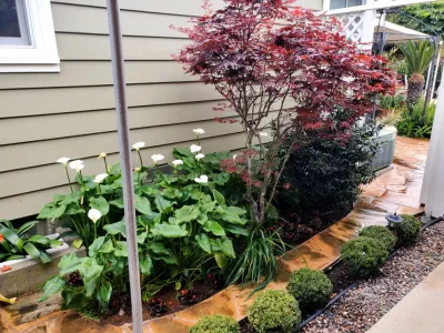 Succulent Garden with Flagstone Paths — Landscape Design project by My Garden: Landscape Design By Wayne in Orange