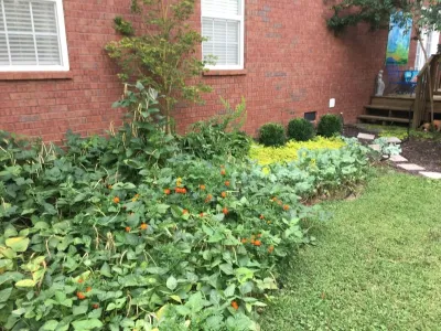 Beautiful Custom Landscape by My Landscape Guide
