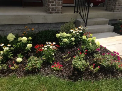 My Landscape Guide - Tree & Shrub Care in Murfreesboro, TN