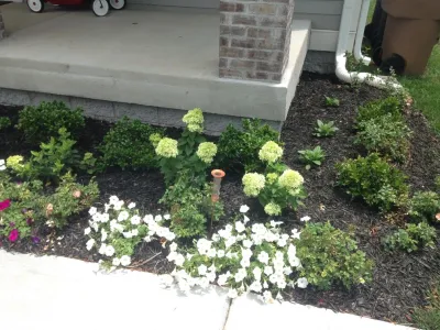East Nashville Rosebank New Construction by My Landscape Guide