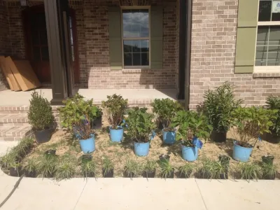 My Landscape Guide - Tree & Shrub Care in Murfreesboro, TN