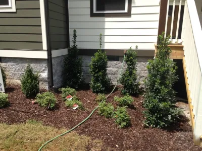 My Landscape Guide - Tree & Shrub Care in Murfreesboro, TN