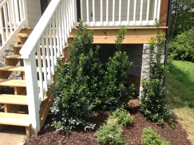 My Landscape Guide - Tree & Shrub Care in Murfreesboro, TN