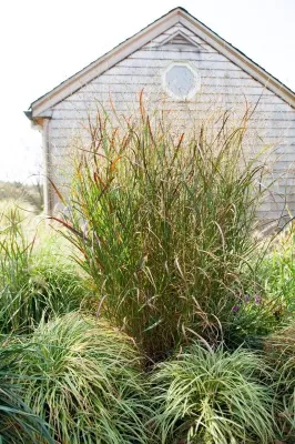 Natalie DeNormandie - Landscape Design in Lincoln, MA