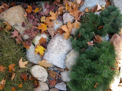 Natalie DeNormandie - Landscape Design in Lincoln, MA