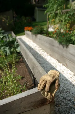Provincetown in Arlington — Landscape Design project by Natalie DeNormandie in Arlington