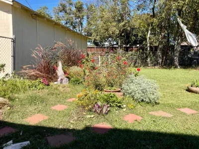 Native Gardeners - Outdoor Lighting Installation in Euless, TX