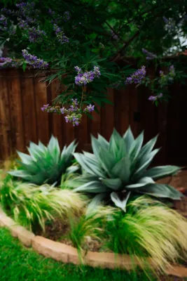 Native Gardeners - Outdoor Lighting Installation in Euless, TX